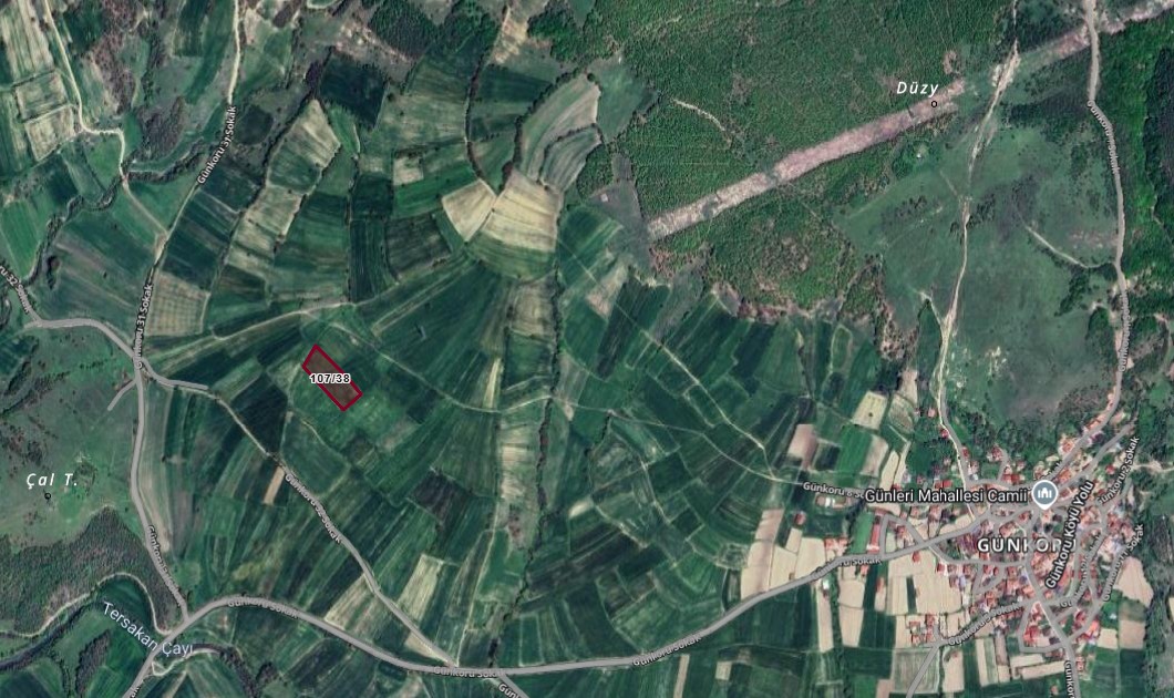 SAMSUN LADİK GÜNKORU MAH 4.085 M²  TARLAMIZ SATILIKTIR. - SAMSUN LADİK fotoğraf 3